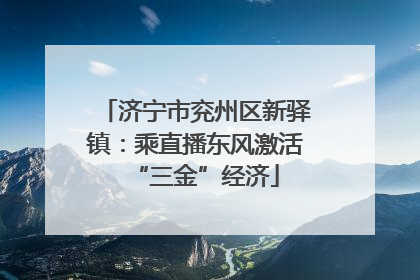 济宁市兖州区新驿镇：乘直播东风激活“三金”经济
