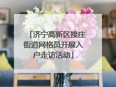 济宁高新区接庄街道网格员开展入户走访活动