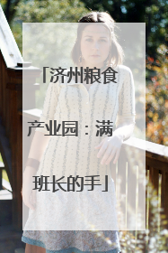 济州粮食产业园：满班长的手