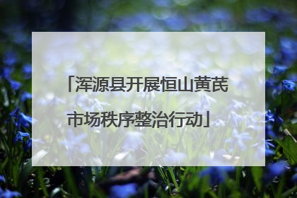 浑源县开展恒山黄芪市场秩序整治行动