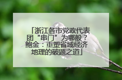 浙江各市党政代表团“串门”为哪般？鲍金：重塑省域经济地理的破题之道