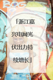 浙江嘉兴电网光伏出力持续增长