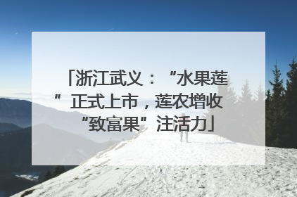 浙江武义：“水果莲”正式上市，莲农增收“致富果”注活力