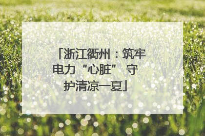 浙江衢州：筑牢电力“心脏” 守护清凉一夏