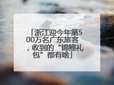 浙江迎今年第500万名广东旅客，收到的“锦鲤礼包”都有啥