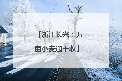 浙江长兴：万亩小麦迎丰收