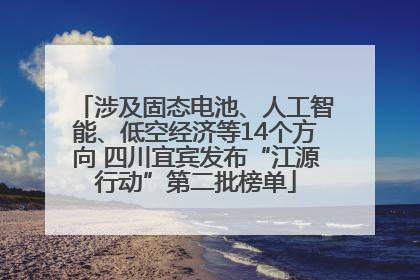 涉及固态电池、人工智能、低空经济等14个方向 四川宜宾发布“江源行动”第二批榜单