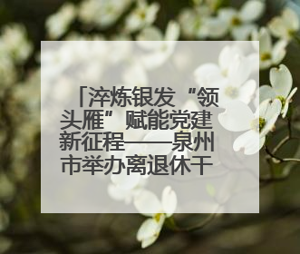 淬炼银发“领头雁”赋能党建新征程——泉州市举办离退休干部党支部书记能力建设专题培训