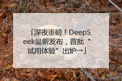 深夜重磅！DeepSeek最新发布，首批“试用体验”出炉→