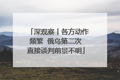 深观察丨各方动作频繁  俄乌第二次直接谈判前景不明