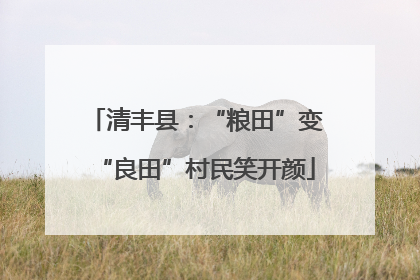 清丰县：“粮田”变“良田”村民笑开颜