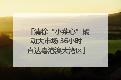 清徐“小菜心”撬动大市场 36小时直达粤港澳大湾区