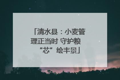清水县：小麦管理正当时 守护粮“芯”绘丰景