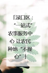 渌口区：“一站式”农事服务中心 让农民种地“不操心”