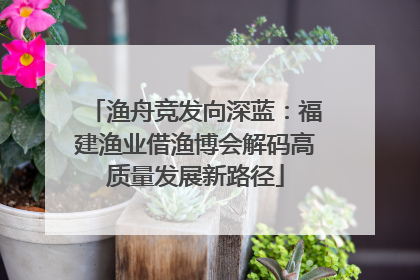 渔舟竞发向深蓝：福建渔业借渔博会解码高质量发展新路径