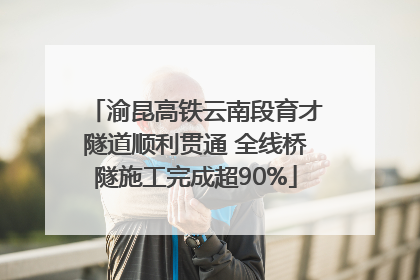 渝昆高铁云南段育才隧道顺利贯通 全线桥隧施工完成超90%