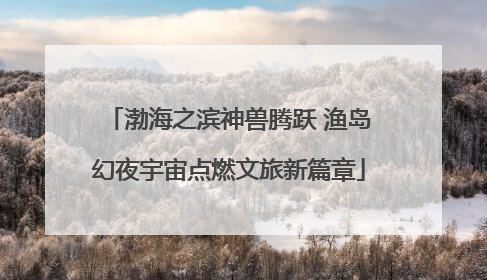 渤海之滨神兽腾跃 渔岛幻夜宇宙点燃文旅新篇章