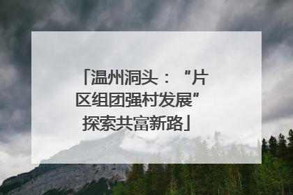 温州洞头：“片区组团强村发展”探索共富新路