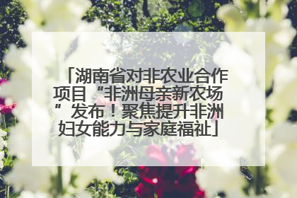 湖南省对非农业合作项目“非洲母亲新农场”发布！聚焦提升非洲妇女能力与家庭福祉