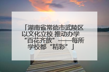 湖南省常德市武陵区以文化立校 推动办学“百花齐放”——每所学校都“精彩”