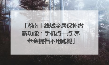 湖南上线城乡居保补缴新功能：手机点一点 养老金提档不用跑腿