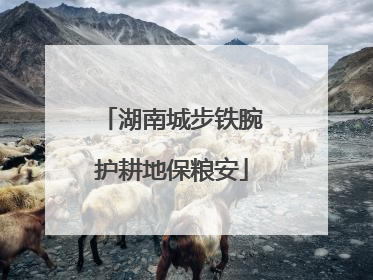 湖南城步铁腕护耕地保粮安