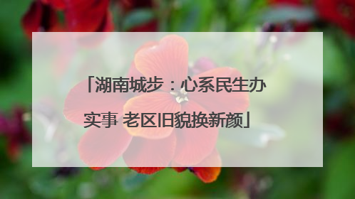 湖南城步：心系民生办实事 老区旧貌换新颜