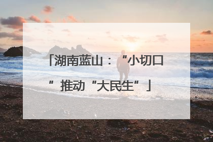 湖南蓝山：“小切口”推动“大民生”