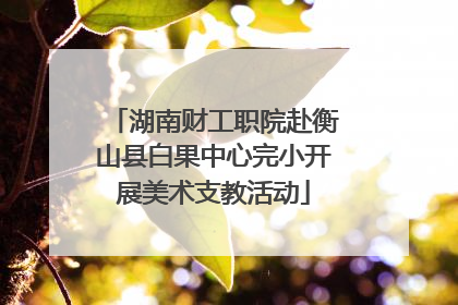 湖南财工职院赴衡山县白果中心完小开展美术支教活动