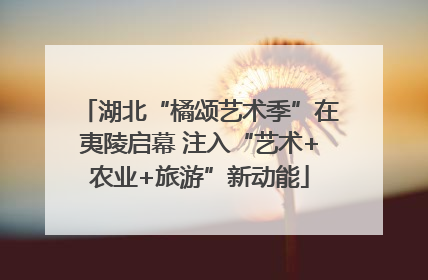 湖北“橘颂艺术季”在夷陵启幕 注入“艺术+农业+旅游”新动能