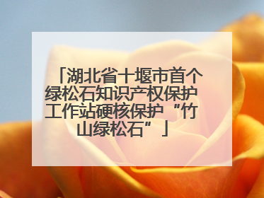湖北省十堰市首个绿松石知识产权保护工作站硬核保护“竹山绿松石”