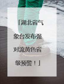 湖北省气象台发布强对流黄色省级预警！