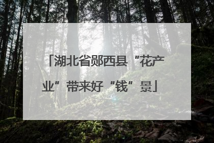 湖北省郧西县“花产业”带来好“钱”景