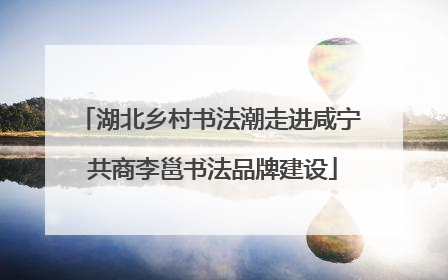 湖北乡村书法潮走进咸宁 共商李邕书法品牌建设