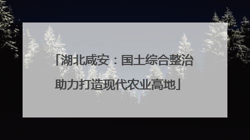 湖北咸安：国土综合整治助力打造现代农业高地