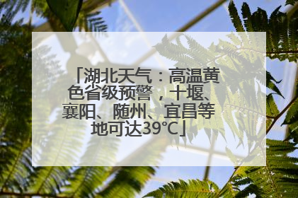 湖北天气：高温黄色省级预警，十堰、襄阳、随州、宜昌等地可达39℃