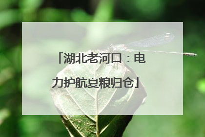湖北老河口：电力护航夏粮归仓