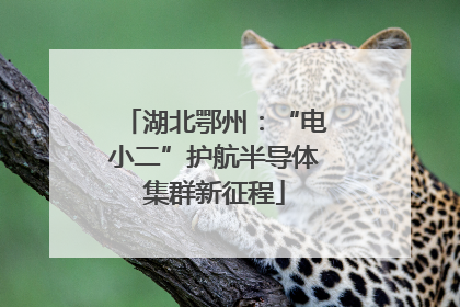 湖北鄂州：“电小二”护航半导体集群新征程