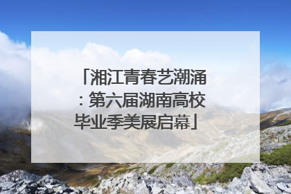 湘江青春艺潮涌：第六届湖南高校毕业季美展启幕