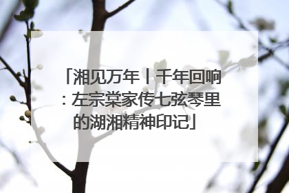 湘见万年丨千年回响：左宗棠家传七弦琴里的湖湘精神印记