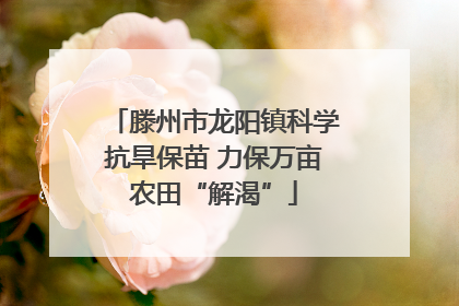 滕州市龙阳镇科学抗旱保苗 力保万亩农田“解渴”