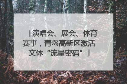 演唱会、展会、体育赛事，青岛高新区激活文体“流量密码”