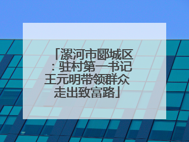 漯河市郾城区：驻村第一书记王元明带领群众走出致富路