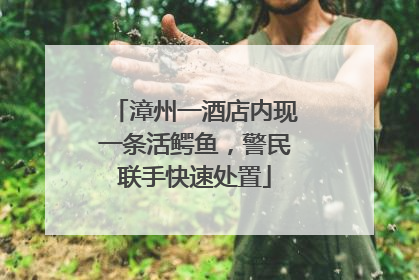 漳州一酒店内现一条活鳄鱼，警民联手快速处置