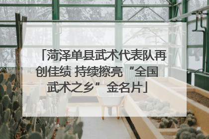 菏泽单县武术代表队再创佳绩 持续擦亮“全国武术之乡”金名片