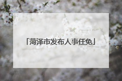 菏泽市发布人事任免