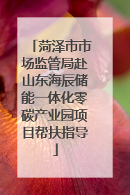 菏泽市市场监管局赴山东海辰储能一体化零碳产业园项目帮扶指导