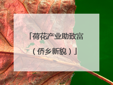荷花产业助致富（侨乡新貌）