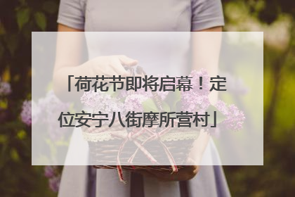 荷花节即将启幕！定位安宁八街摩所营村