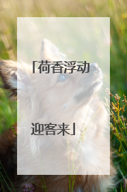 荷香浮动迎客来